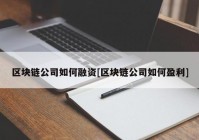 区块链公司如何融资[区块链公司如何盈利]